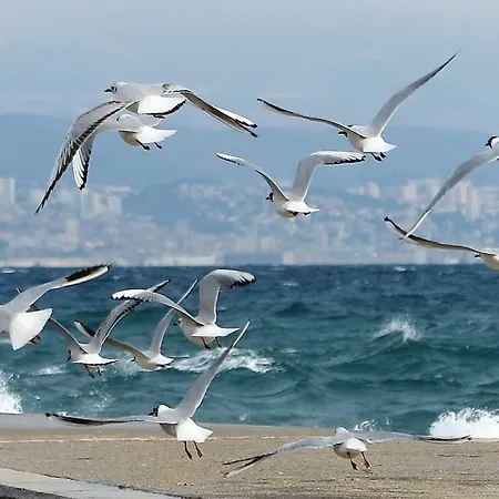 Pev Opatija, Large, Quiet Location, 500m From Sea Apartament *