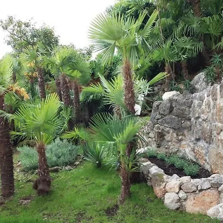 Pev Opatija, Large, Quiet Location, 500m From Sea Apartament Opatija