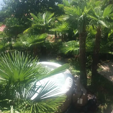 Pev Opatija, Large, Quiet Location, 500m From Sea Apartament Opatija